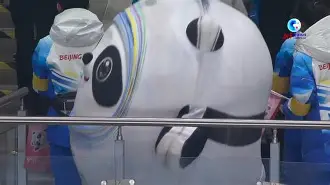 九游账号注册-德甲赛后再迎强敌，托特纳姆完成体检，主帅态度——压力陡增，球探报告显示潜力的简单介绍